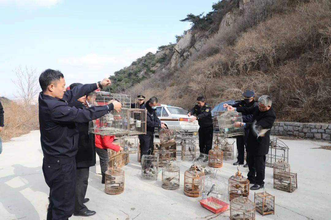 前不久,大澤山派出所接到群眾舉報稱有人非法捕鳥,立即與平度公安森林