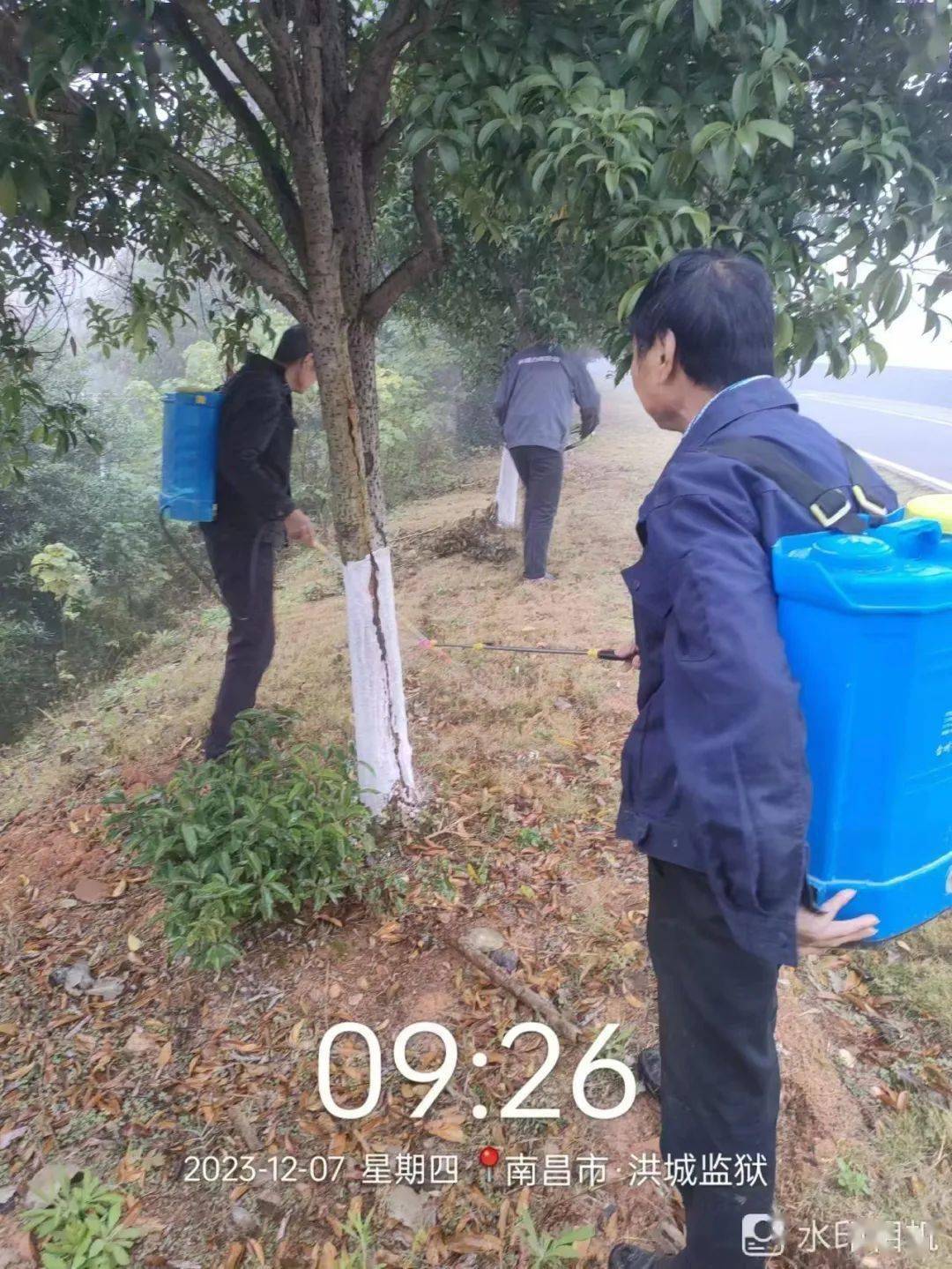 开展白蚁防治 守护美好家园