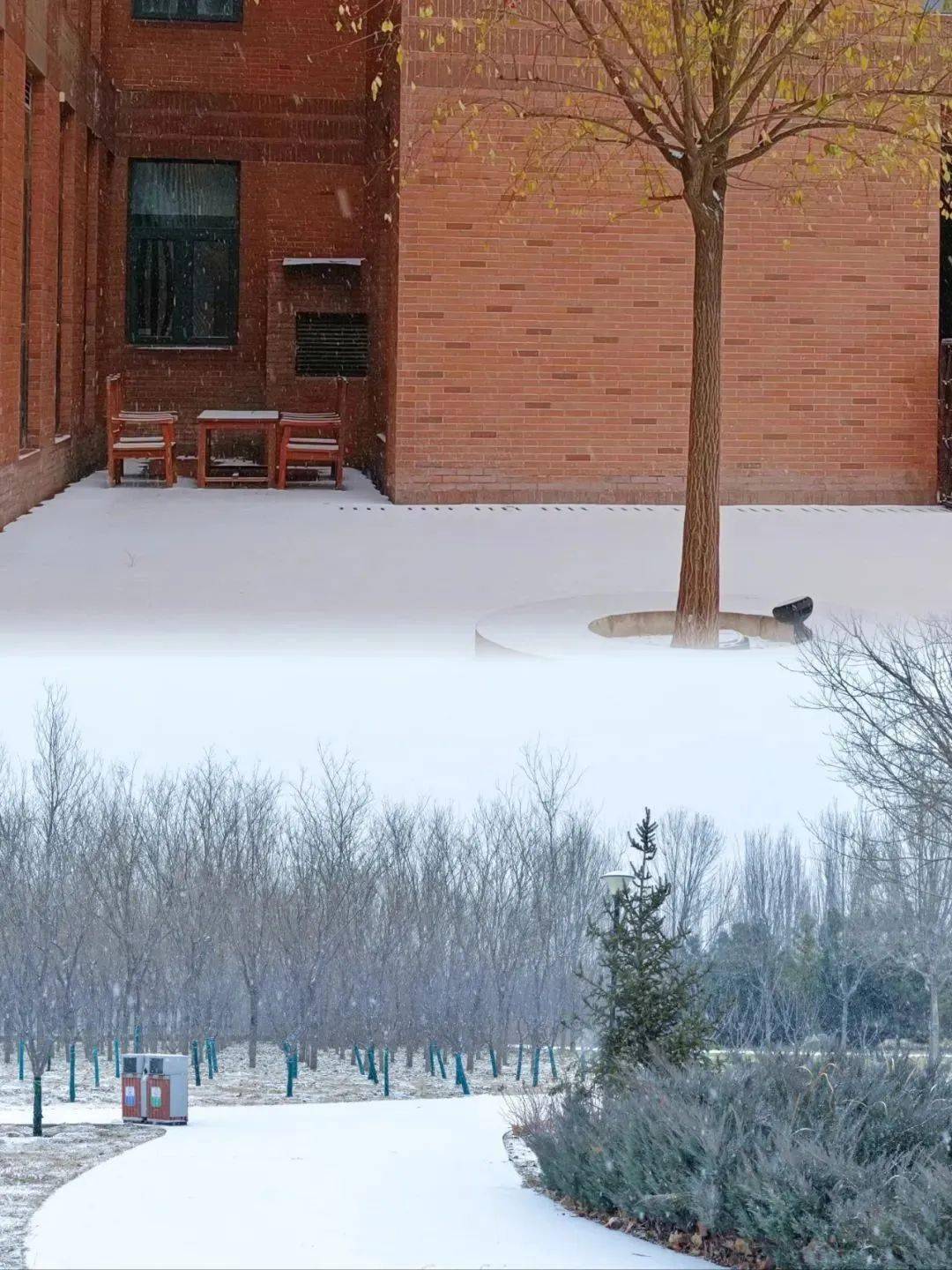 河北民族师范学院雪景图片