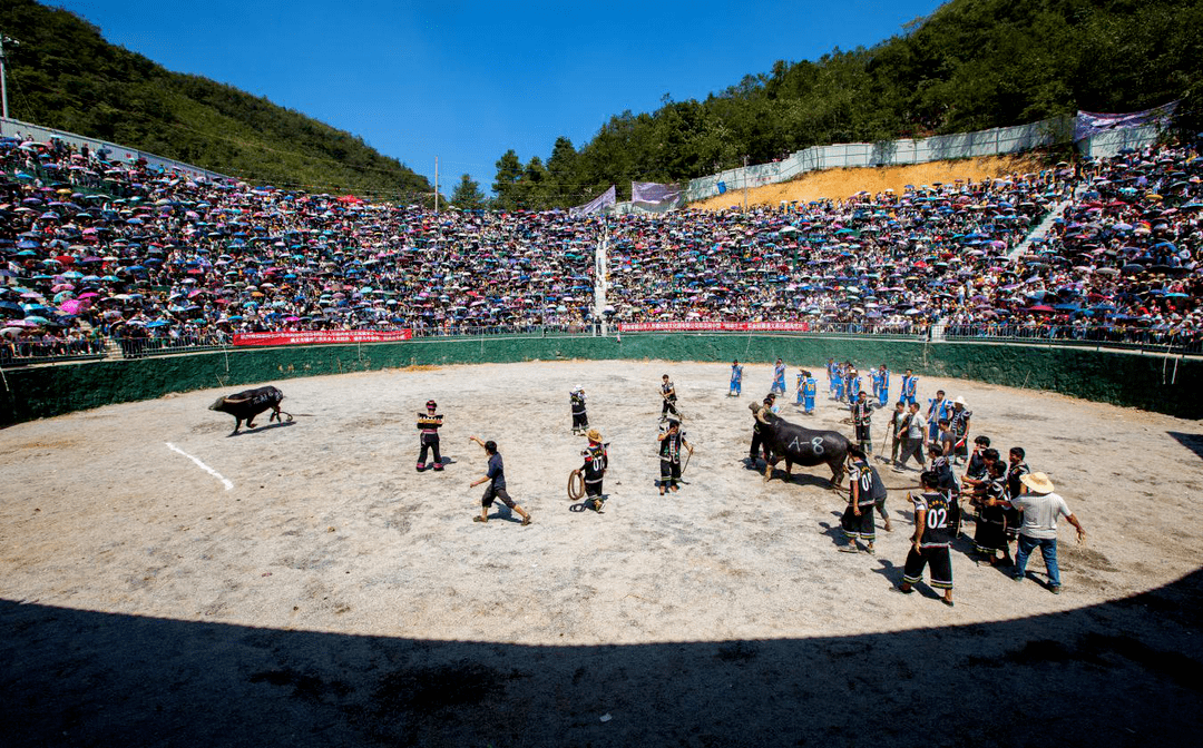 洪关苗族乡:让民族团结之花常开长盛_旅游_发展_文化
