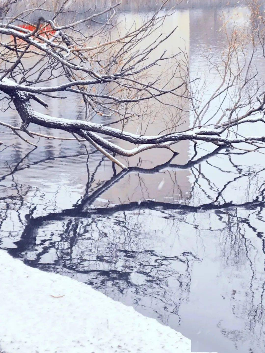 天津雪景美图图片