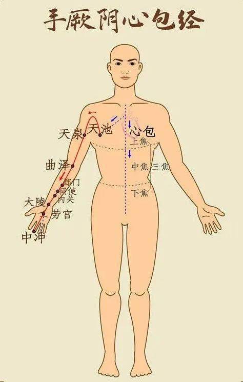 氣血_時間_養生