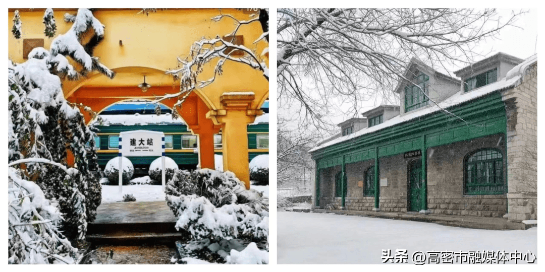 雪蘑菇包裹住的岱嶽一居山東建築大學充滿了工大的冬日意境感雪落枝頭