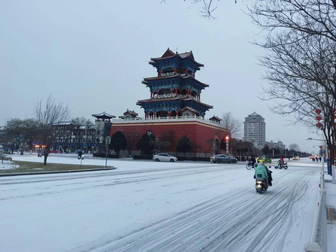 银川下雪啦,宁夏各地雪景大片上新中