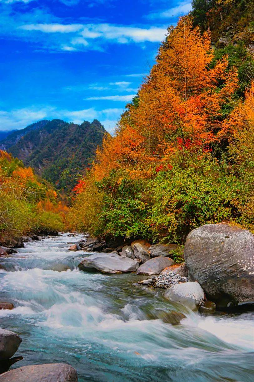 一天一县(市)—汶川_康养_文化_品牌