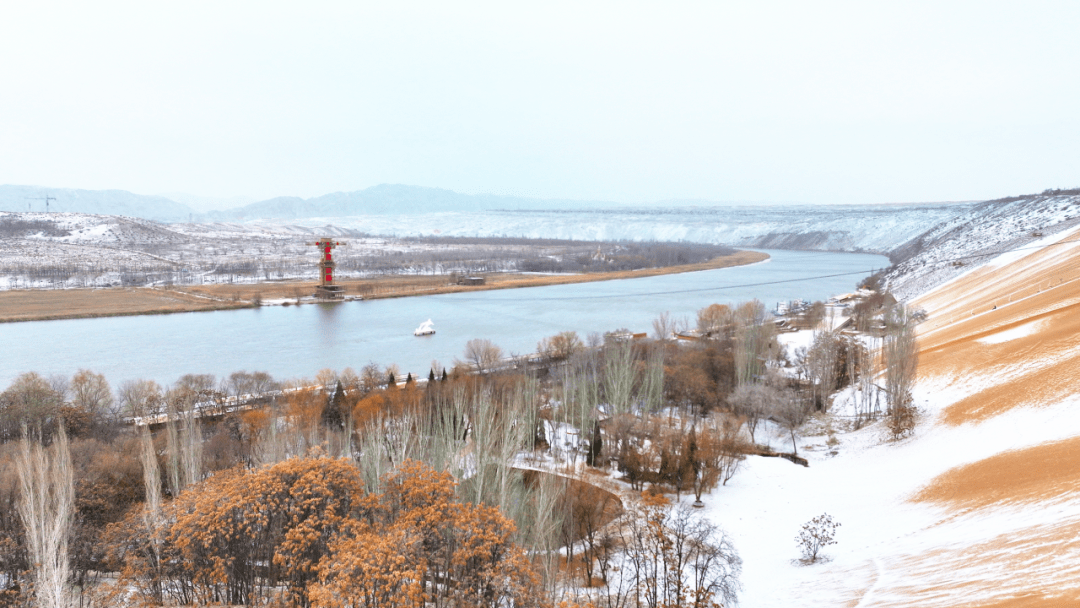 银川下雪啦,宁夏各地雪景大片上新中