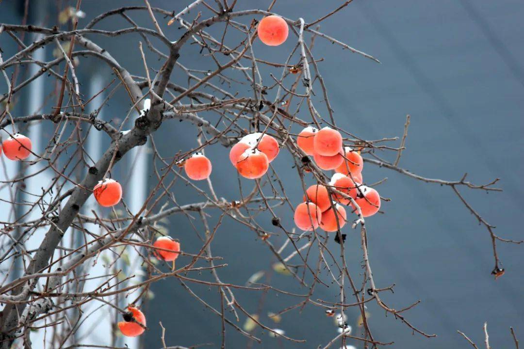 苏轼《小饮清虚堂示王定国》独往独来银粟地,一行一步玉沙声.