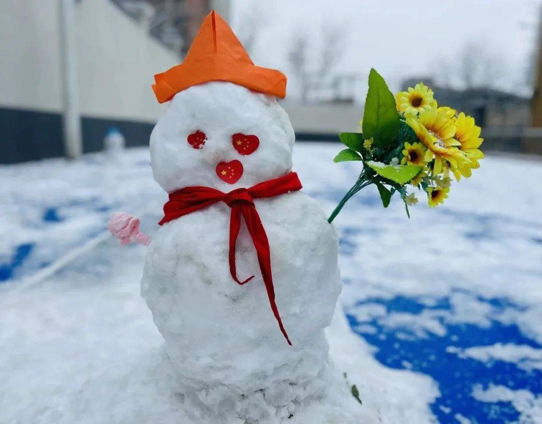 雪雪雪又来了!