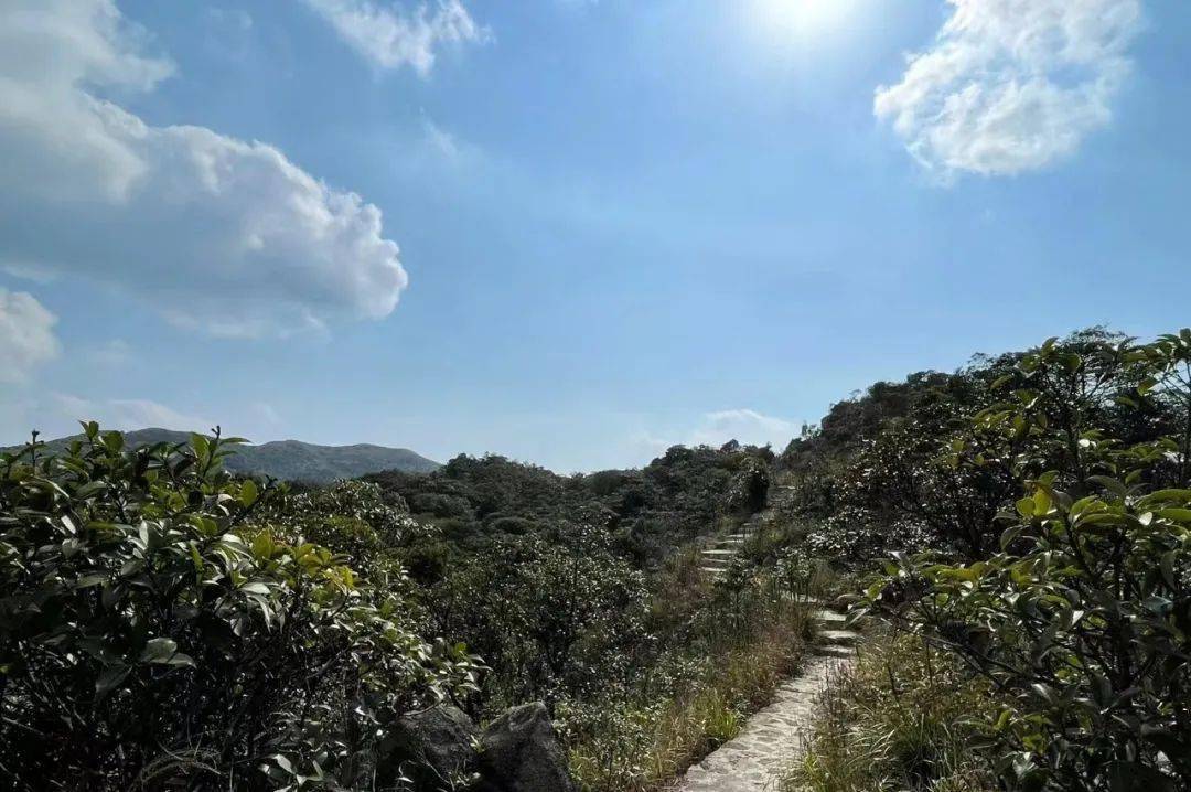 四方山為羅浮山餘脈,廣東惠州羅浮山西北片規劃但尚未開發的核心景區.