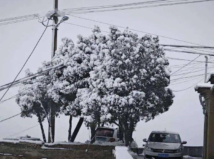 陝西一市最新通知:小學,幼兒園今日放假_天氣_小到中雪_陝北