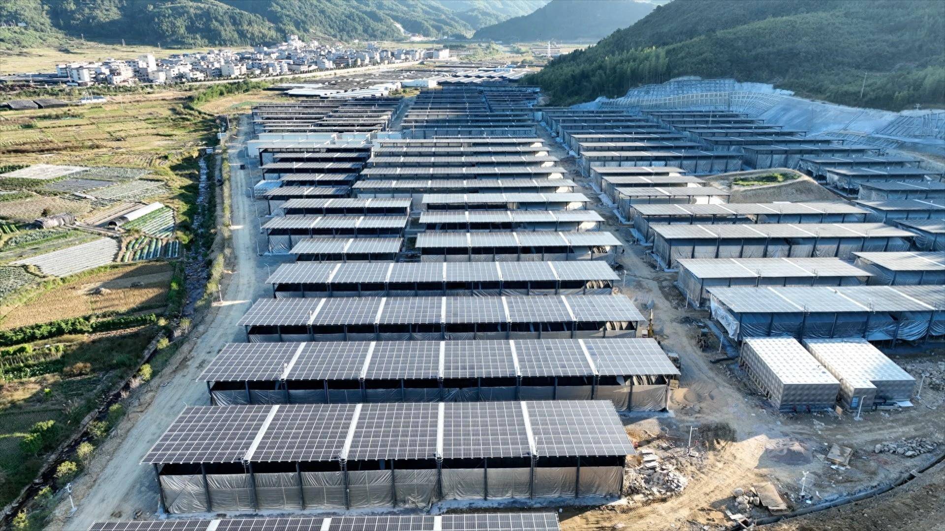 到农户家里走访,切实解决农户食用菌生产难题,创造性开展"光伏 菇棚"