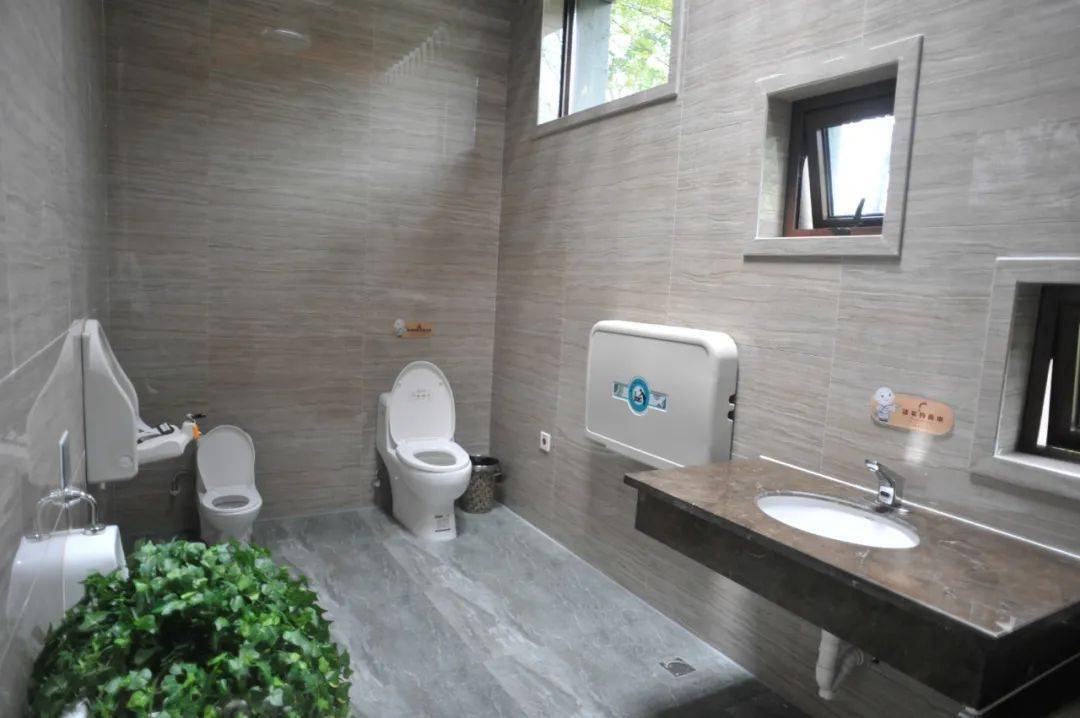 恭喜!省级旅游厕所优秀案例公布,新昌这个景区入选