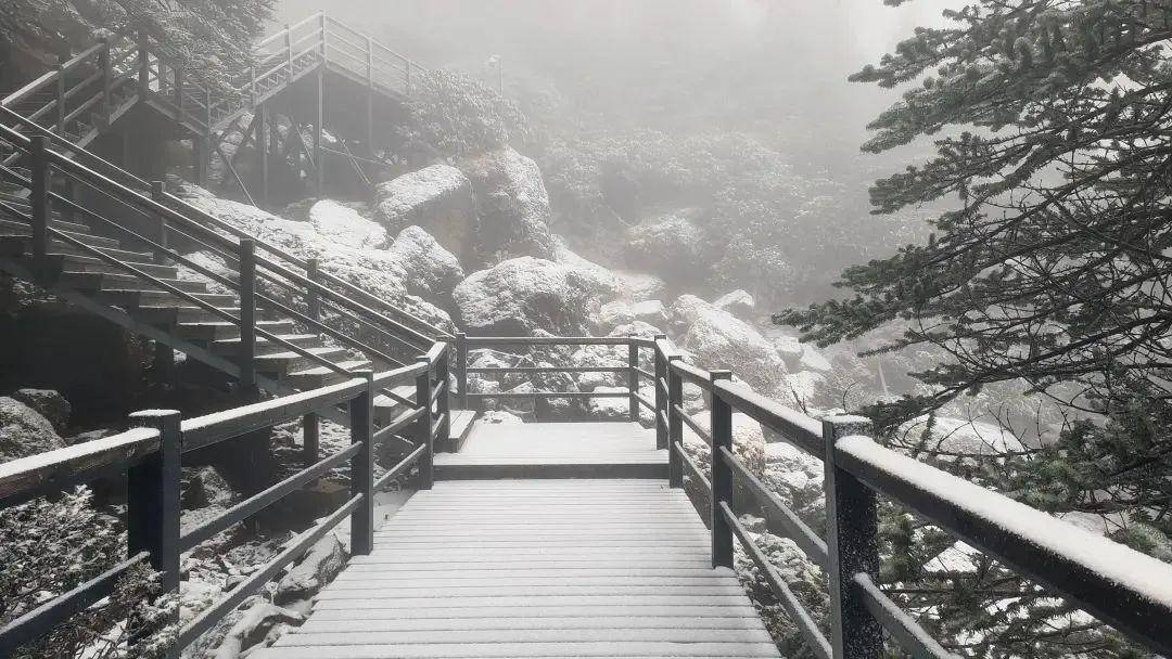 玩雪,滑雪成為雲南人冬天的樂趣之一遊客在轎子山感受