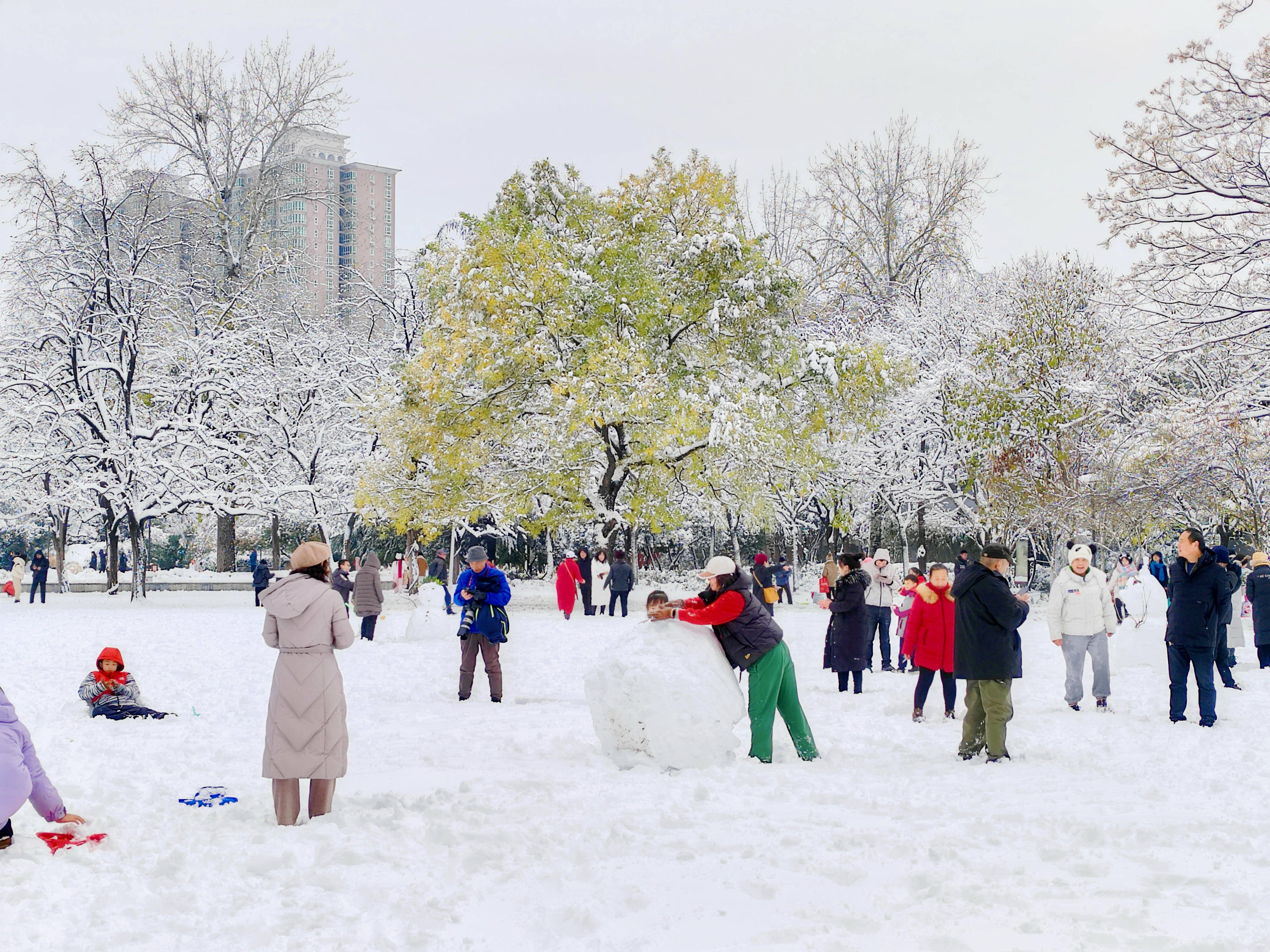 雪后的公园真美啊图片