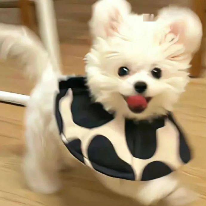 头像| 小众ins风治愈系小头像