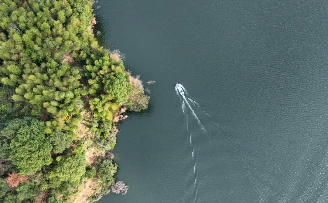 四方井水质究竟如何?听听他们怎么说～_供水_水库_检测