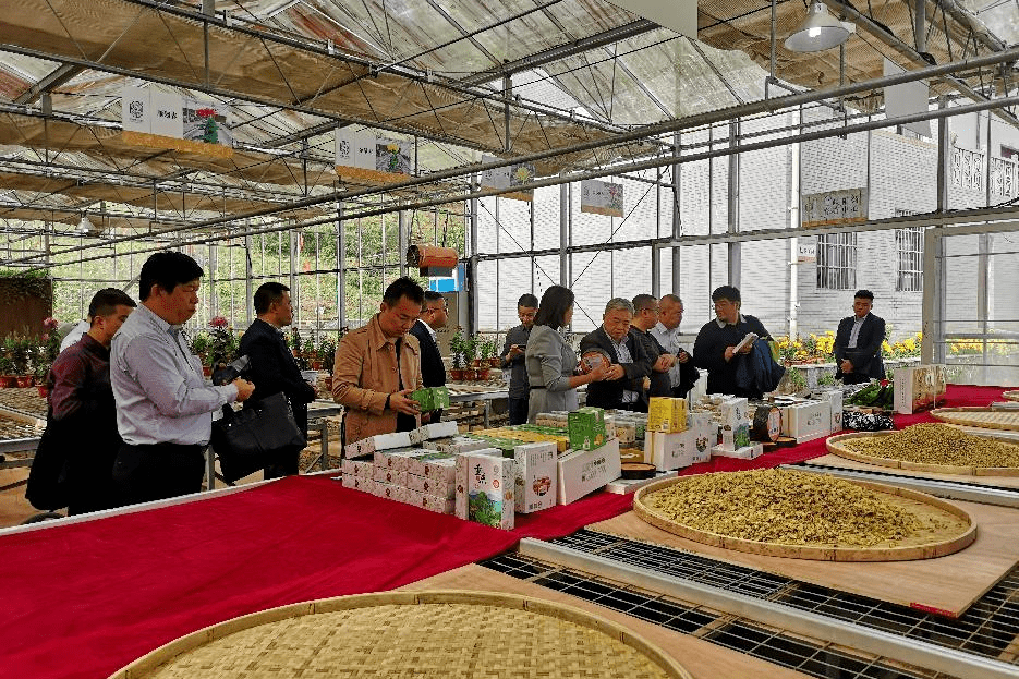 巴渝風丨到雲陽,感受盤龍山水原鄉的悠然自在_街道_譚右銘_程德全