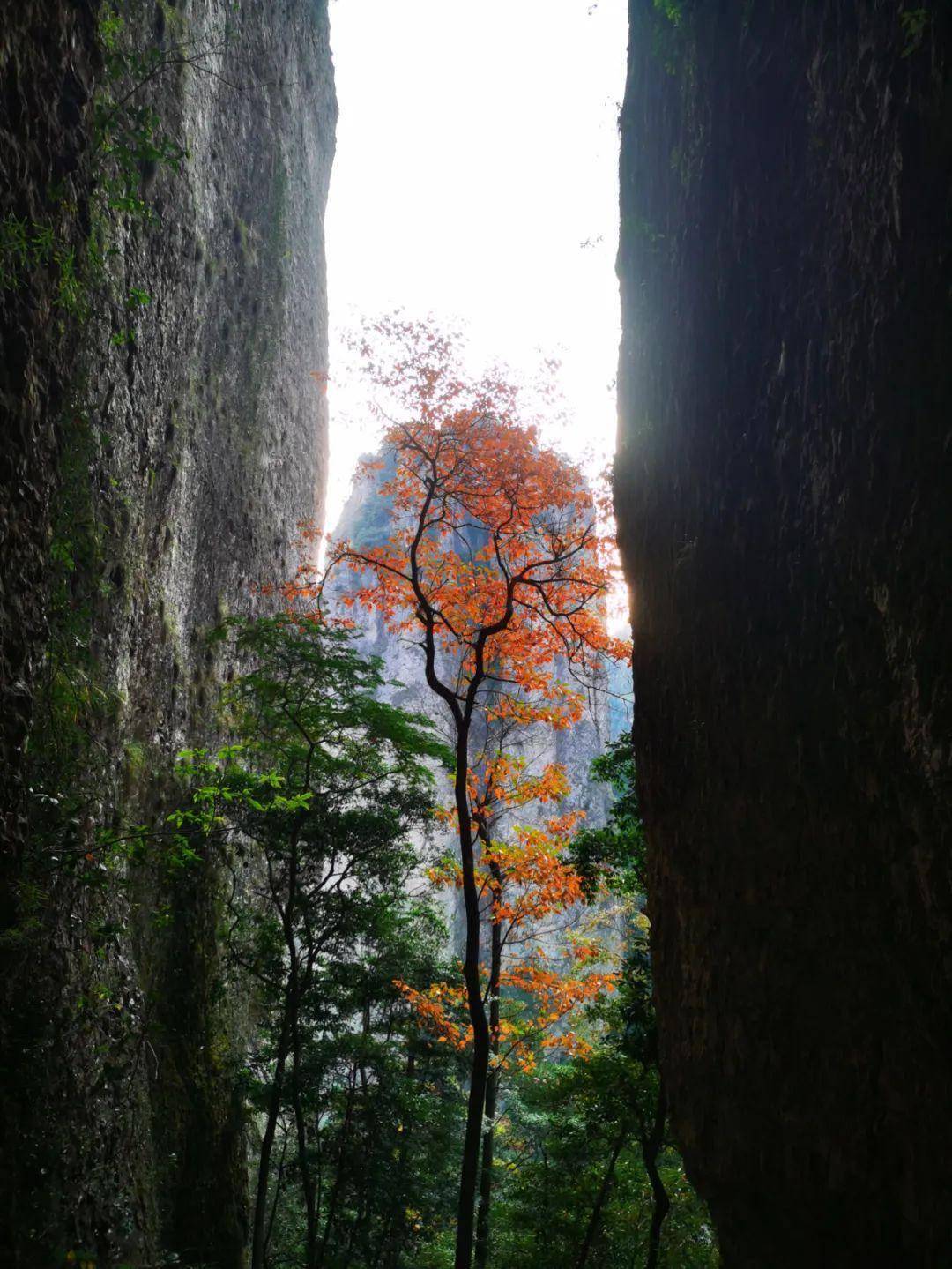 活动范围及政策:三灵峰,大龙湫,灵岩,方洞,三折瀑,雁湖,显胜门,羊角洞