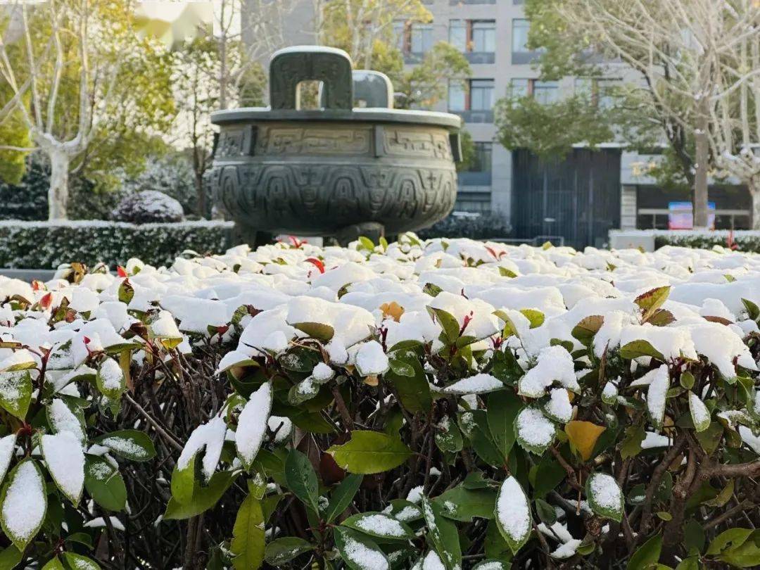 鏡界|在金陵,擁滿懷雪色月明_初雪_雪花_校園