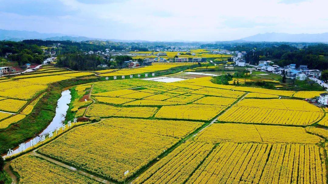 川观新闻报道达川区:走进"两园",虚实之间感受达川谋略_园区_达州市
