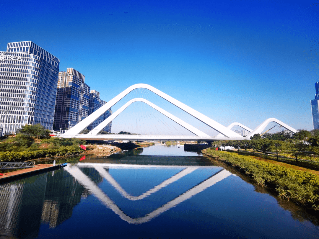 前海这座高颜值景观桥竣工!_项目_钢丝绳_建设