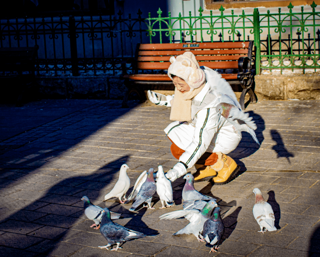 来源:哈尔滨新闻网记者:李木双"哈报手机记者":吃老本 老兵帅克 乐晨