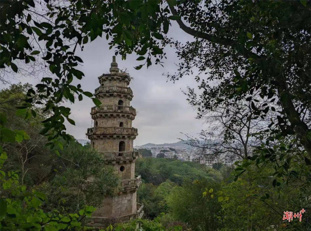 在饒期間,交流團一行還前往湯溪水庫,大埕鎮,鎮風塔,觀海寺,大澳文化