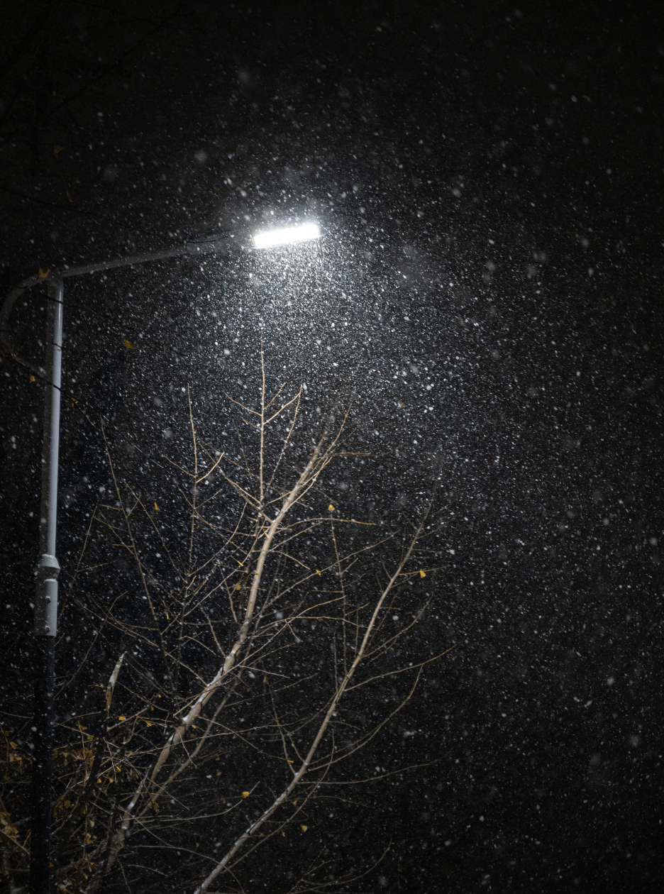 路灯下雪景图片夜晚图片