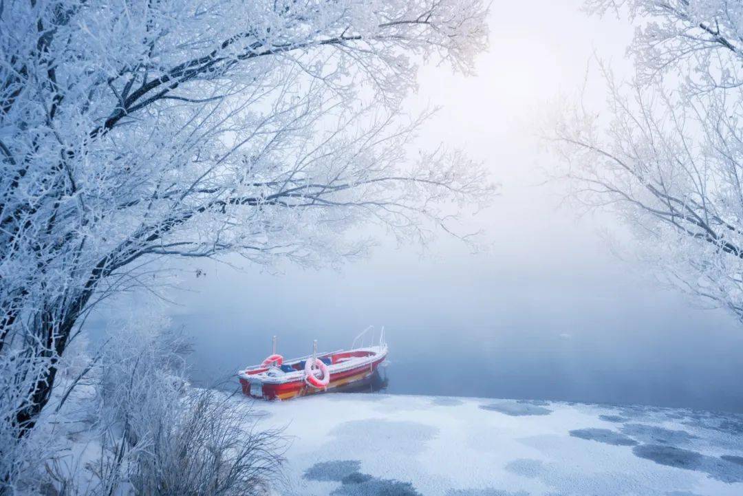 梅花_凝輝_白雪歌