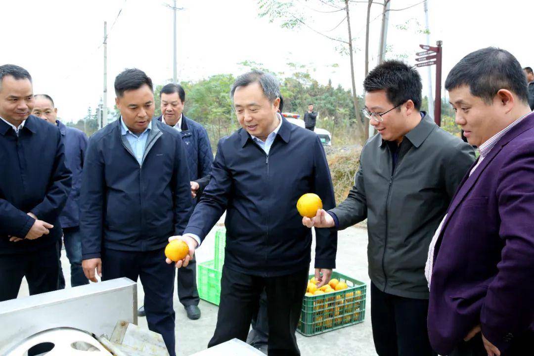 乐昌市市长 简介图片