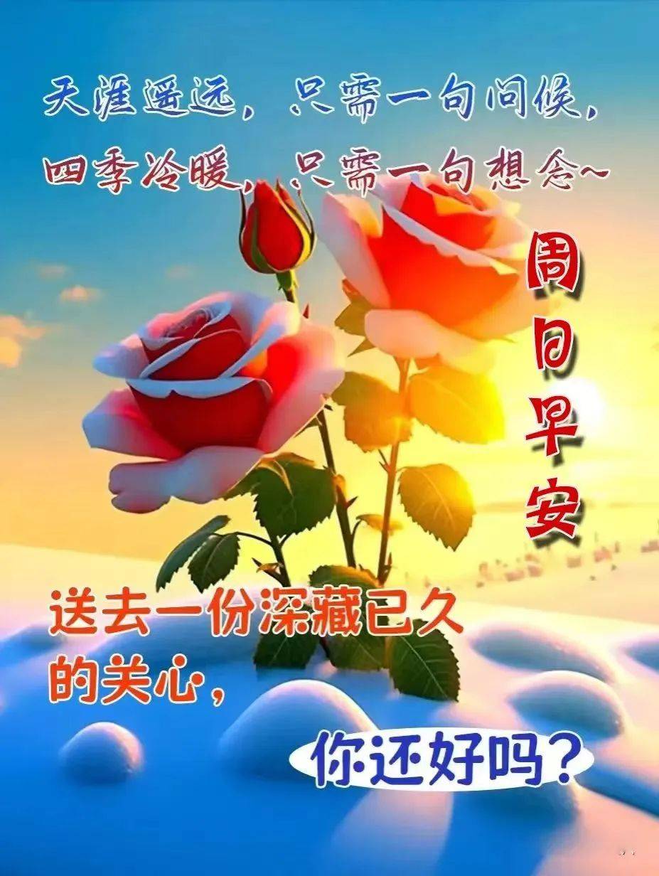 降温早上好问候语(降温了早上好问候语)