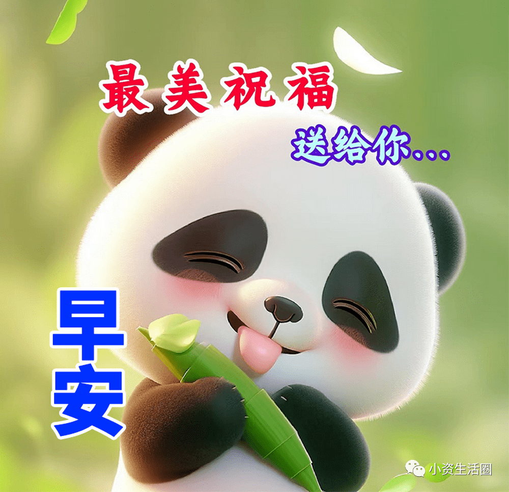 微信表情包大全 祝福图片