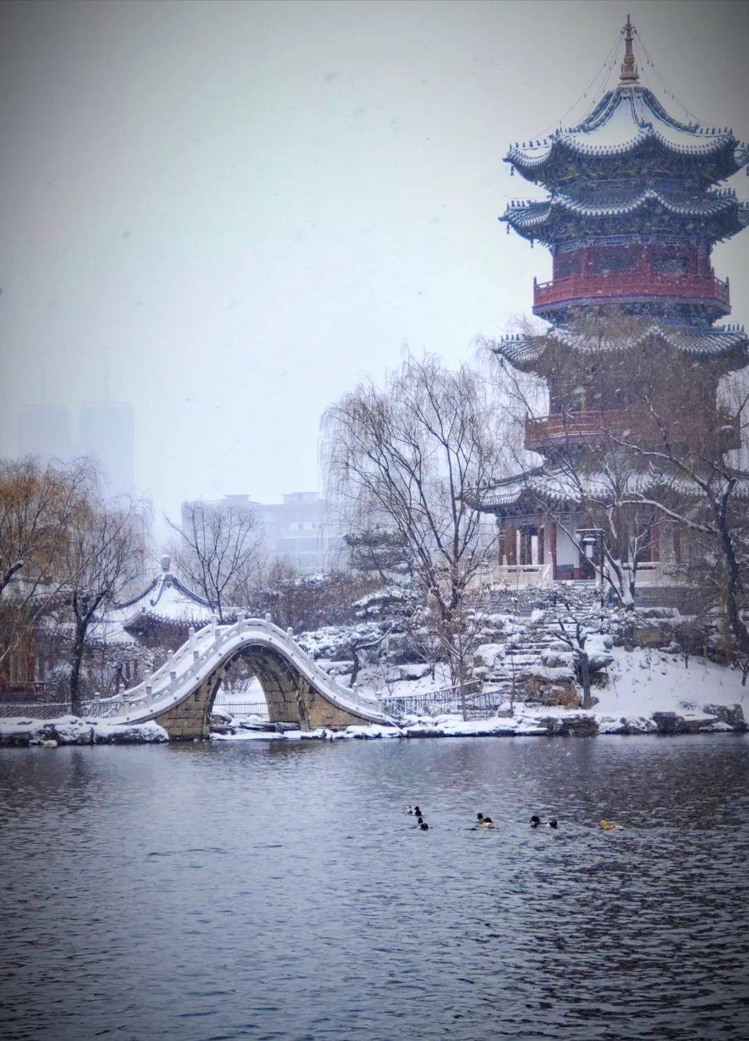 水墨初雪 唯美太原