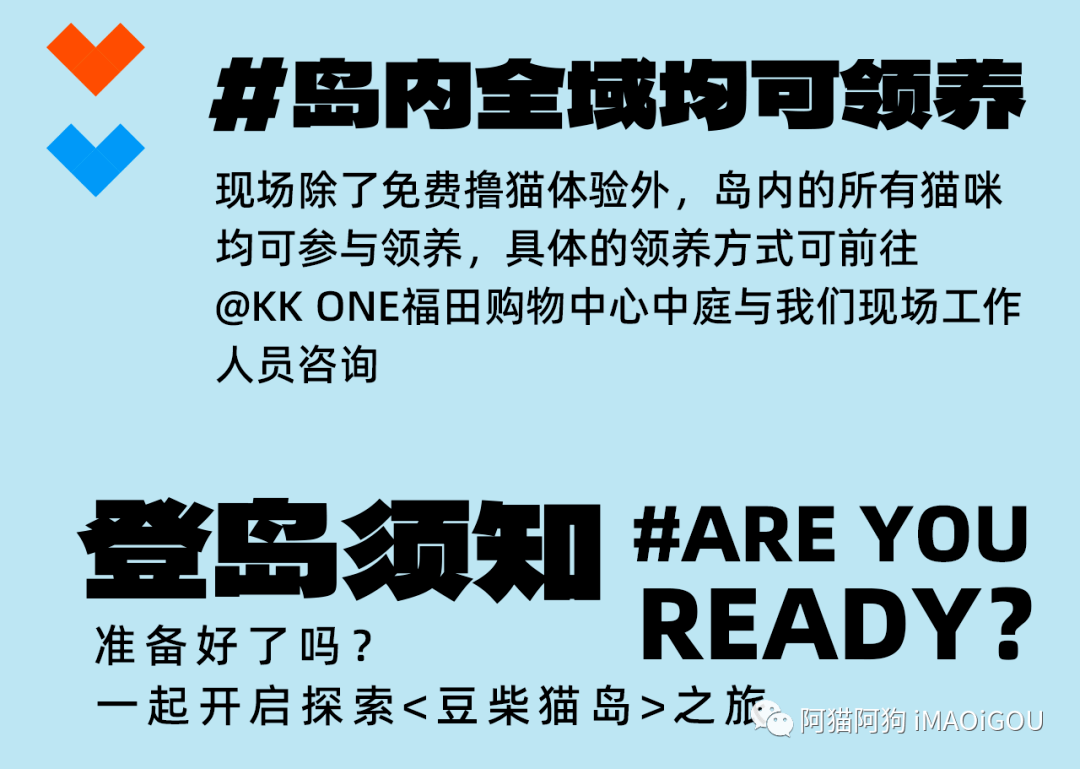 花式訓寵表演特約專業訓犬師帶領專業訓練犬精彩訓寵表演歡樂全場獲