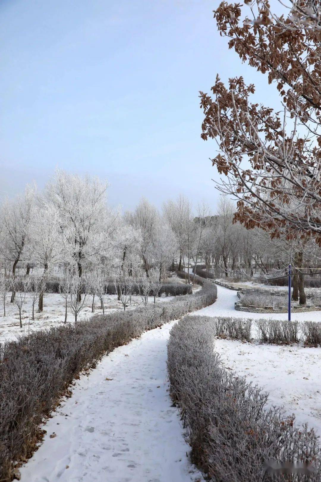 张北一大波雪景美图来袭,你的城市下雪了吗?_张家口_世界_人们