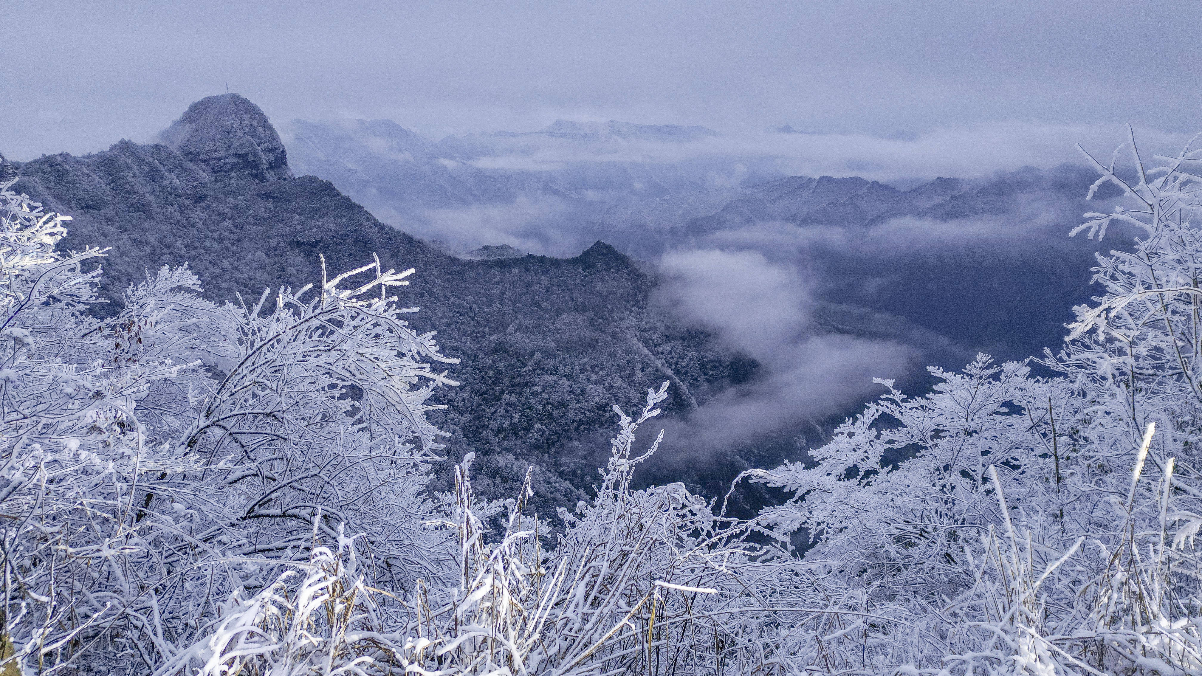 大雪纷飞的图片实景图片