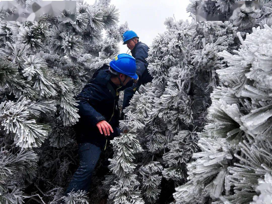 总有人爬冰卧雪为你而来_广西_线路_电网