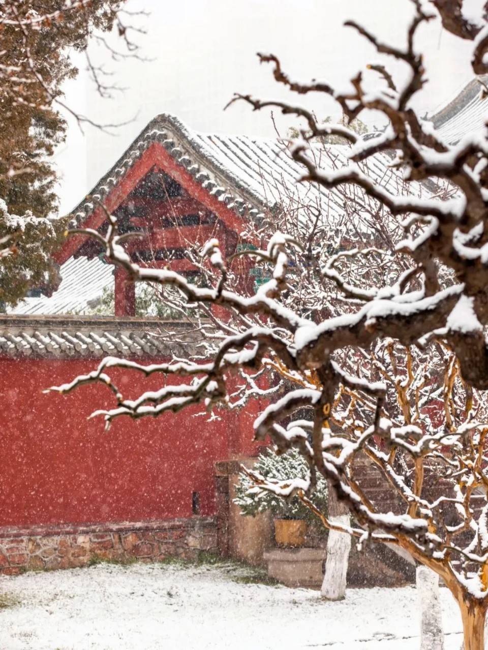红墙黛瓦落白雪,感受岱庙千年岁月的沉淀_故宫_雪景_历史