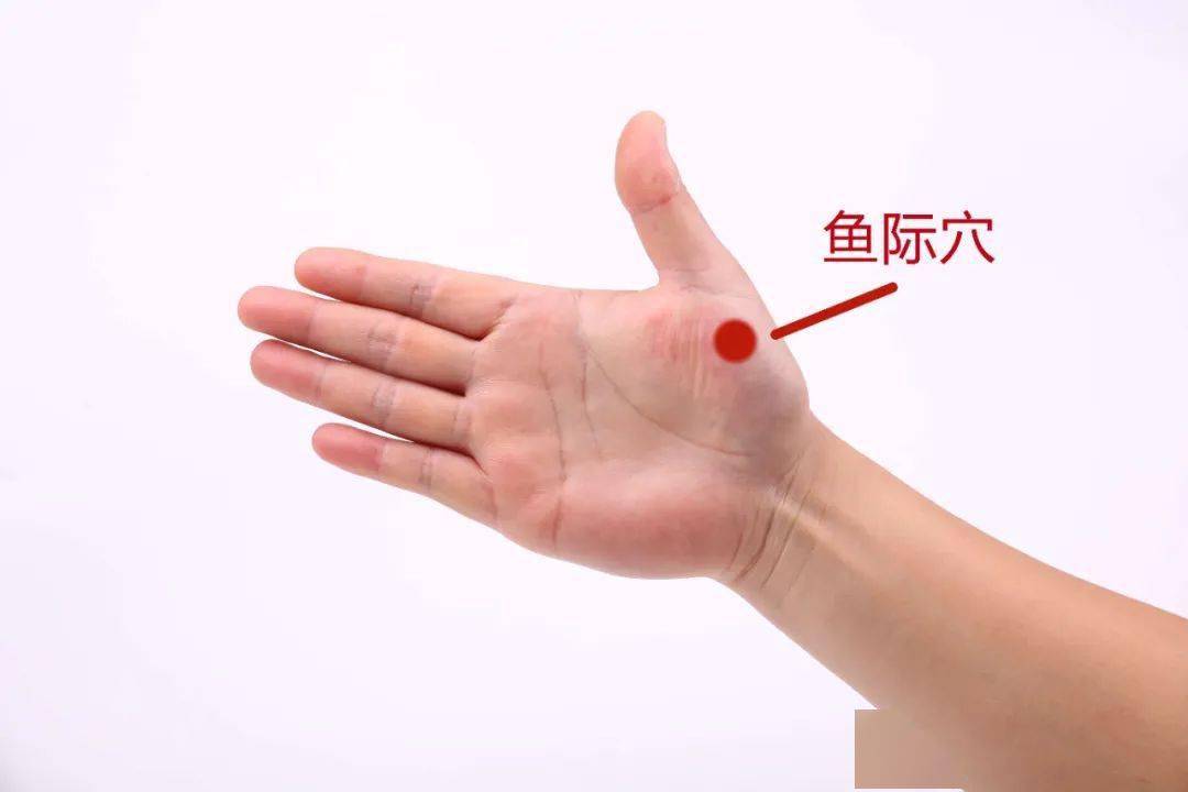 著名歌手自曝一夜失声这种痛每个人都经历过天冷了更要注意