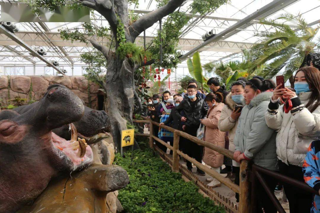 小珠山动物园图片