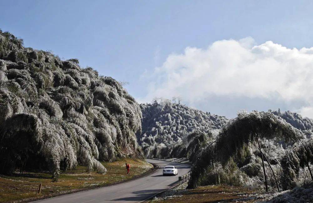 12月19日,在赤水市葫市镇,冬日暖阳下,浪漫的冬景.