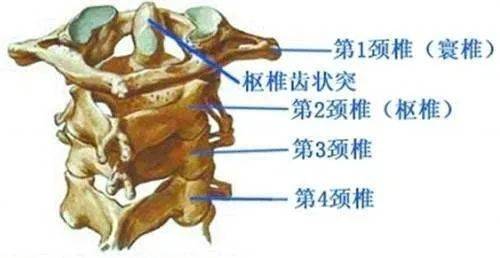 7歲兒童從床上跌落,受傷癱瘓,桂醫附院實施高難度手術