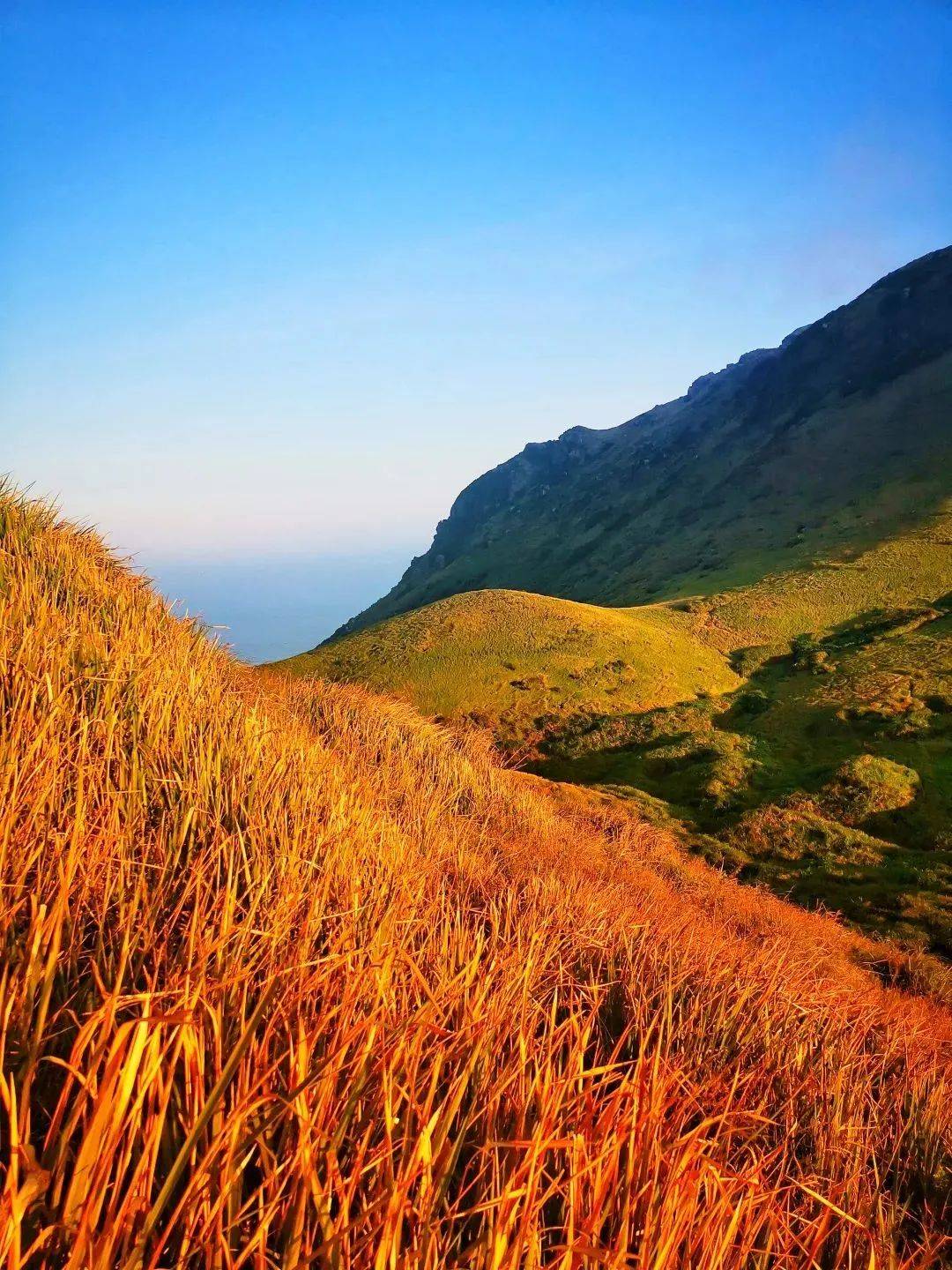 岛 陈维新 摄想你的风从福鼎吹来带着太姥山的山海风景带着福鼎白茶的