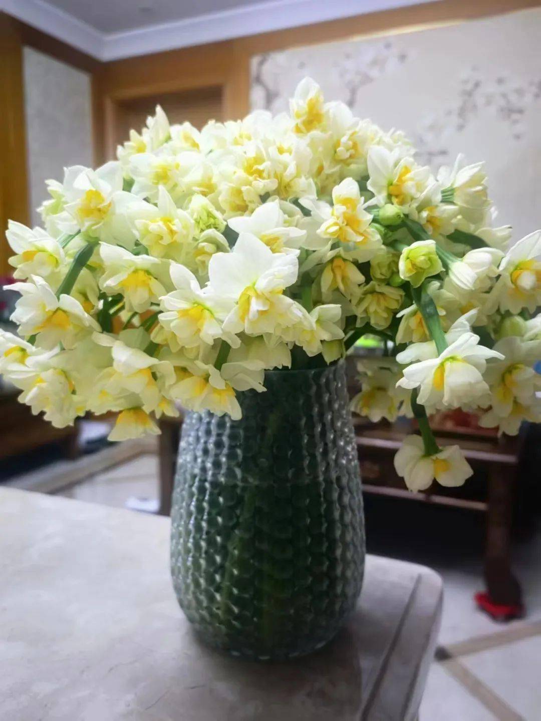 据了解,一般水仙花为单瓣,而崇明水仙则以复瓣花为主,花期一般在15至