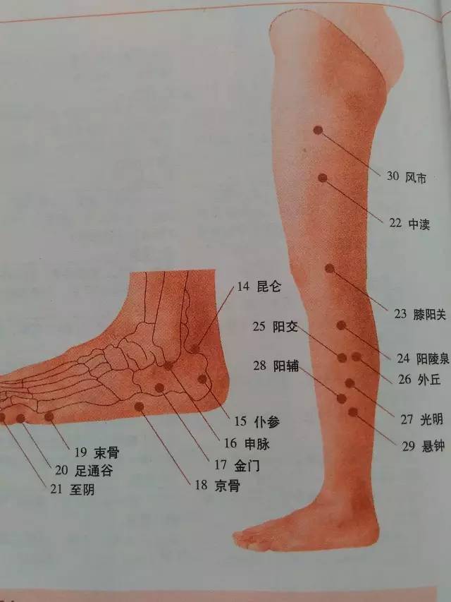 腿部学反射位图解大全图片