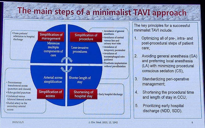 陳良龍教授:簡式/極簡式tavr及其臨床應用_患者_標準_手術