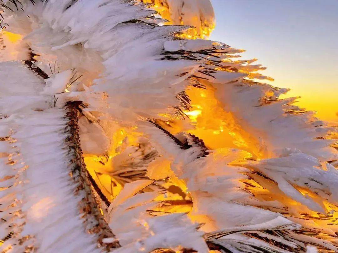 该轮到括苍山的雾凇火了!