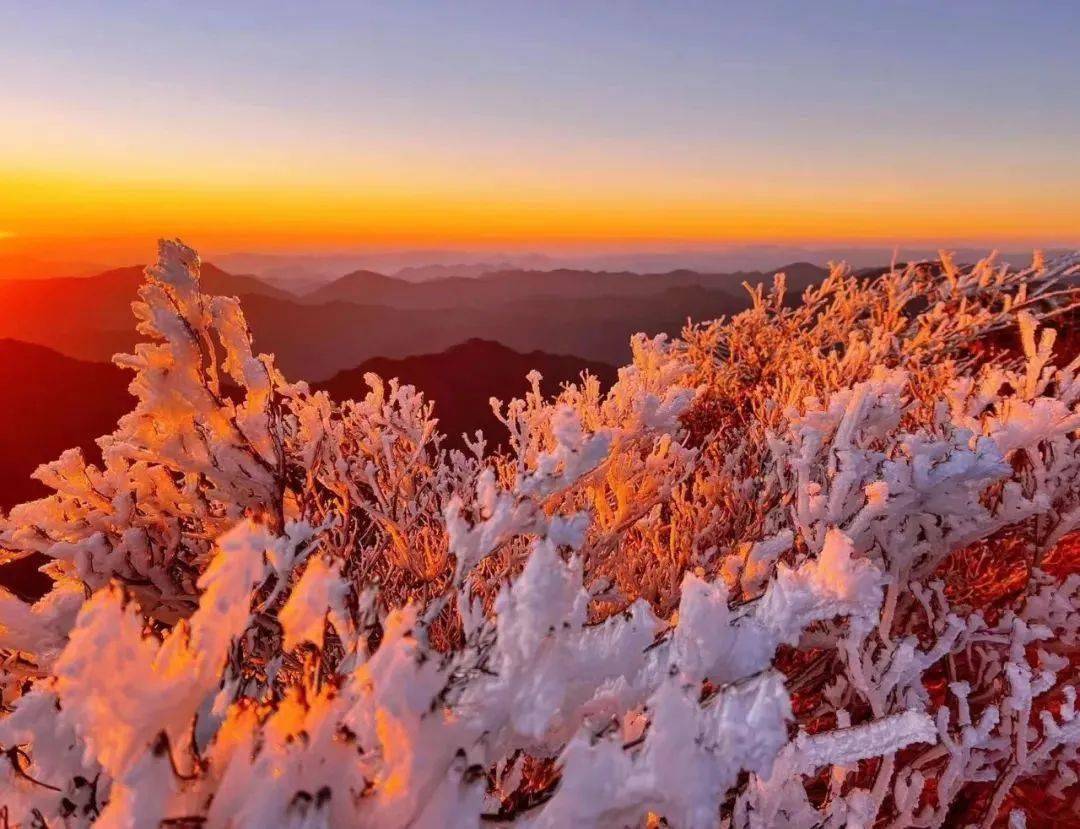 该轮到括苍山的雾凇火了!