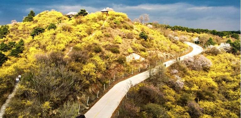 安泽黄花岭风景区攻略图片