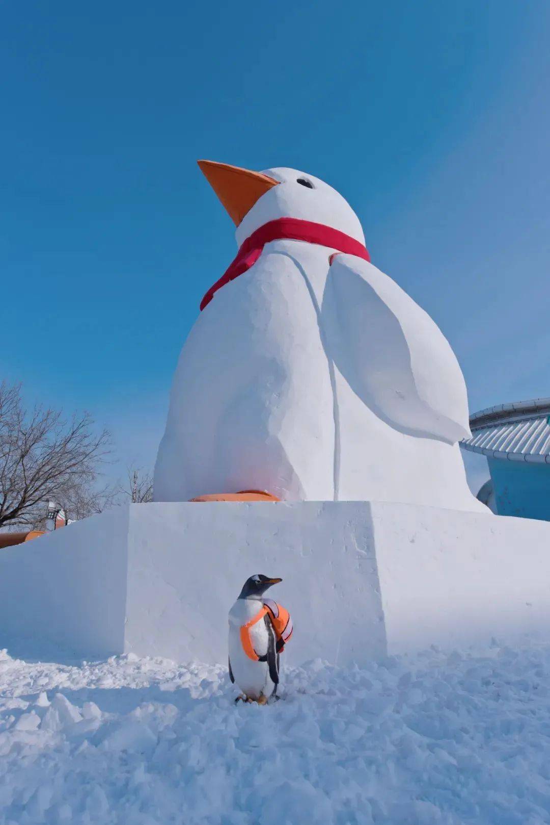 带您打卡哈尔滨6个网红大雪人